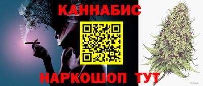 амф Гусев