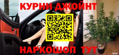 амф Гусев