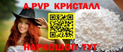 амф Гусев