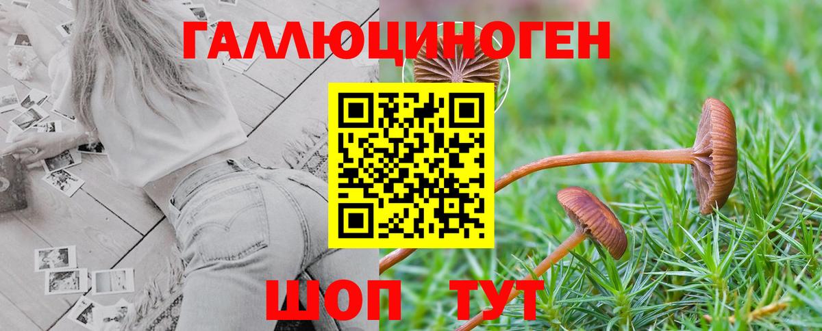 Псилоцибиновые грибы Psilocybine cubensis  Вход с VPN  Михайловск 