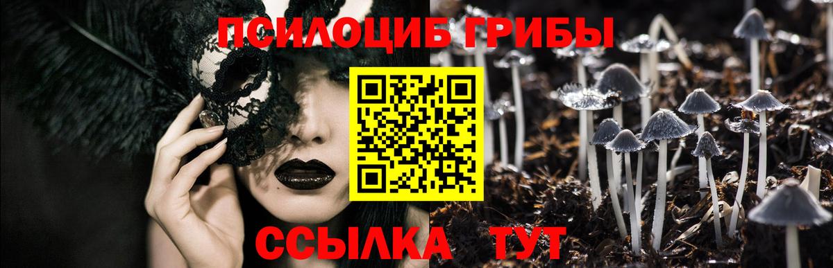  Кокаин Михайловск
